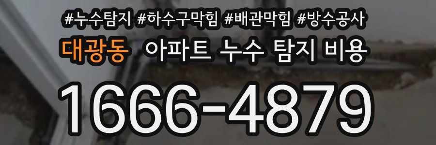 대광동 아파트 누수 탐지 비용