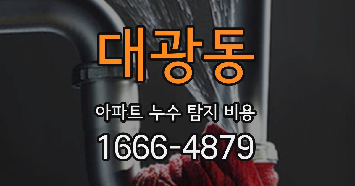 대광동 아파트 누수 탐지 비용