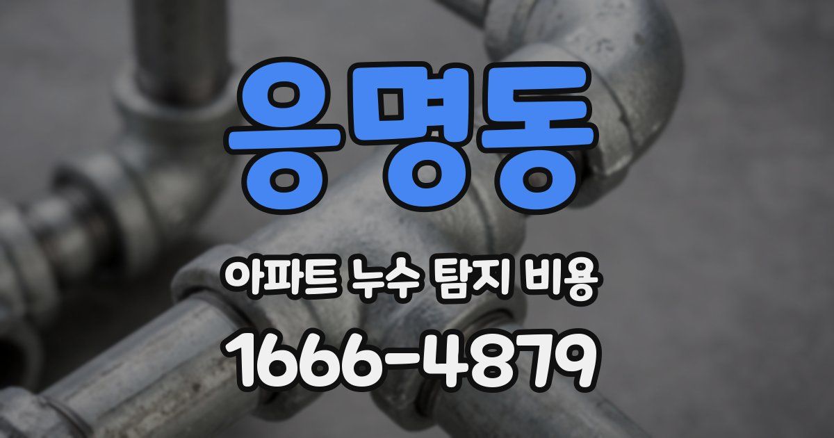 응명동 아파트 누수 탐지 비용