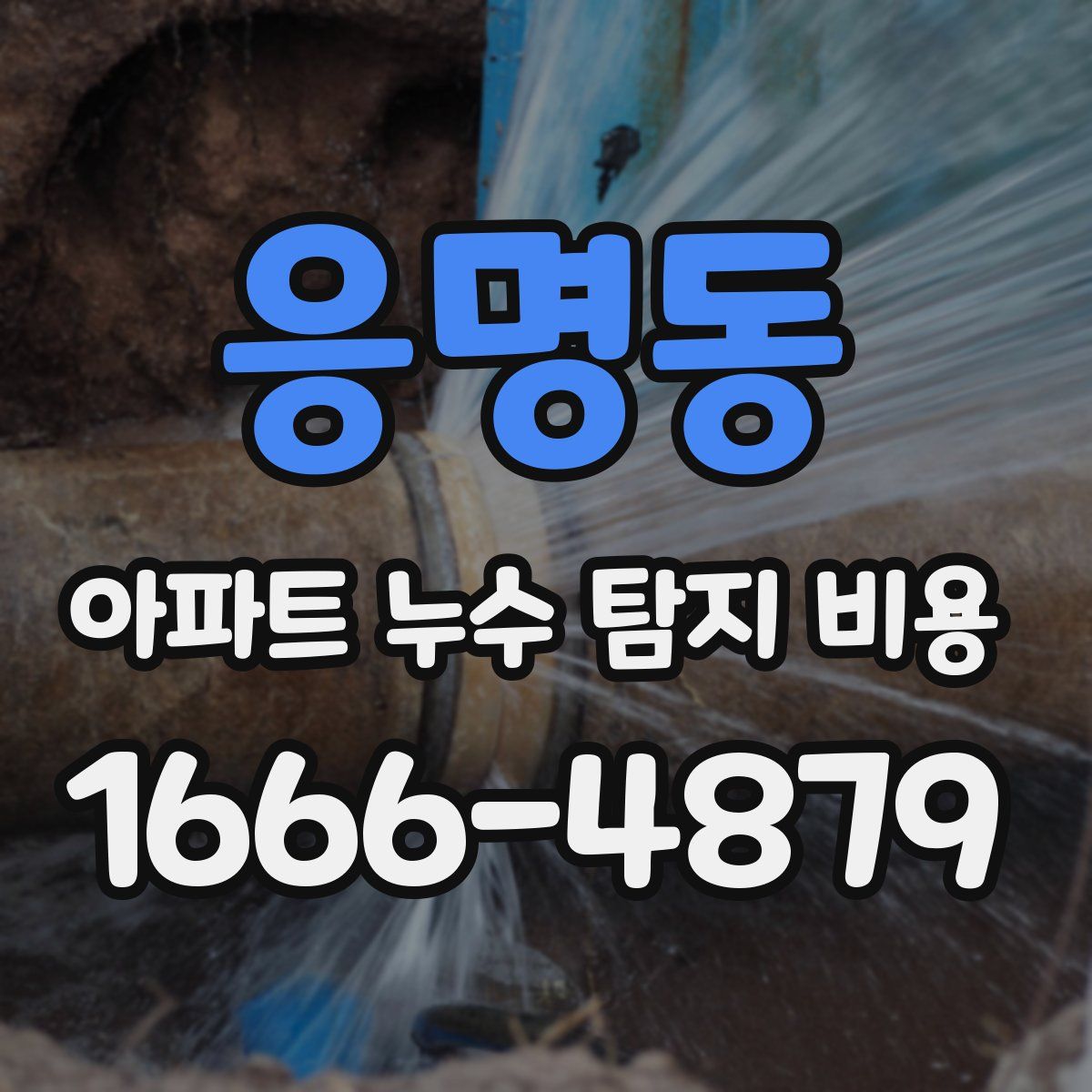 응명동 아파트 누수 탐지 비용
