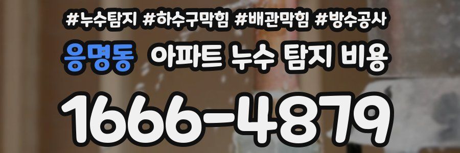 응명동 아파트 누수 탐지 비용