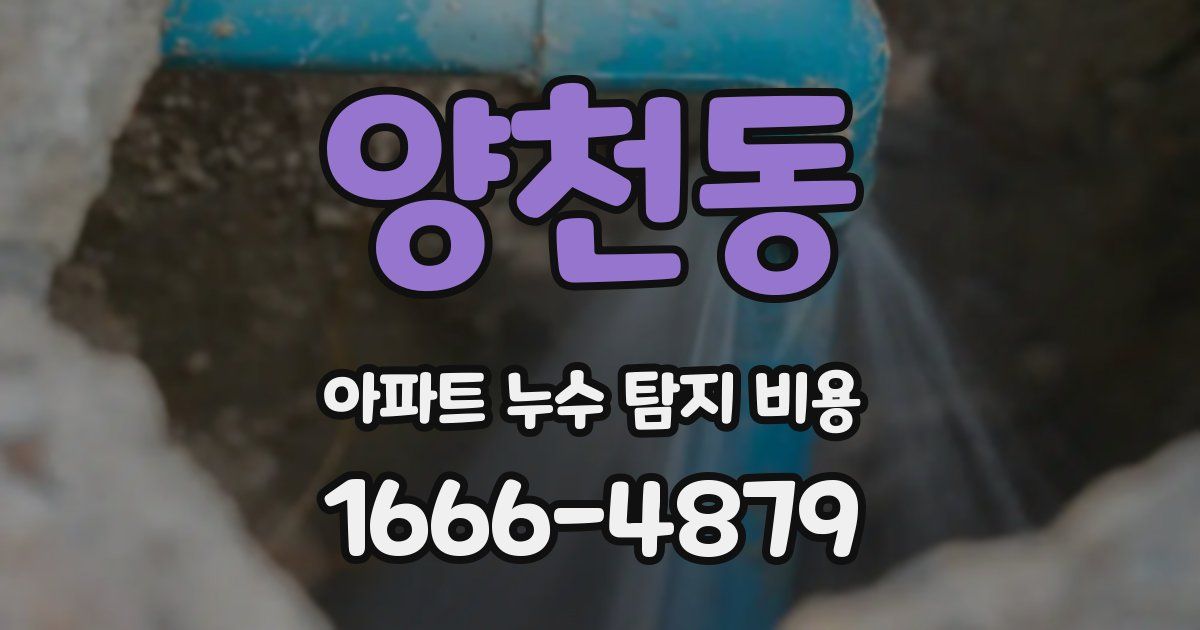 양천동 아파트 누수 탐지 비용