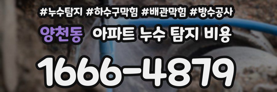 양천동 아파트 누수 탐지 비용