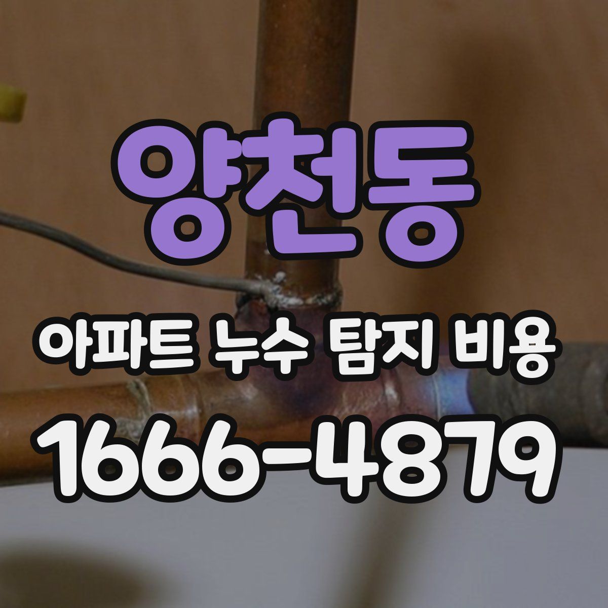 양천동 아파트 누수 탐지 비용