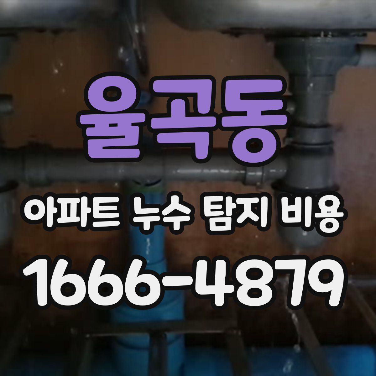 율곡동 아파트 누수 탐지 비용