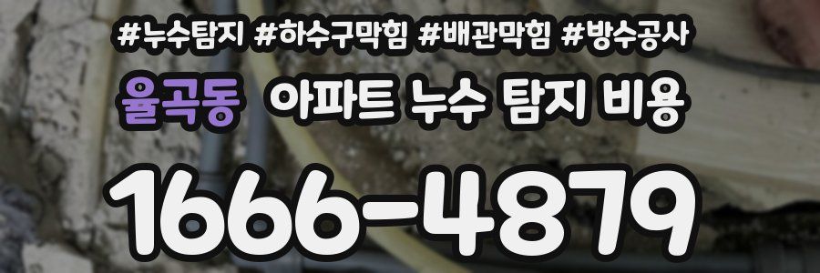 율곡동 아파트 누수 탐지 비용
