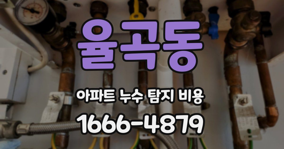 율곡동 아파트 누수 탐지 비용