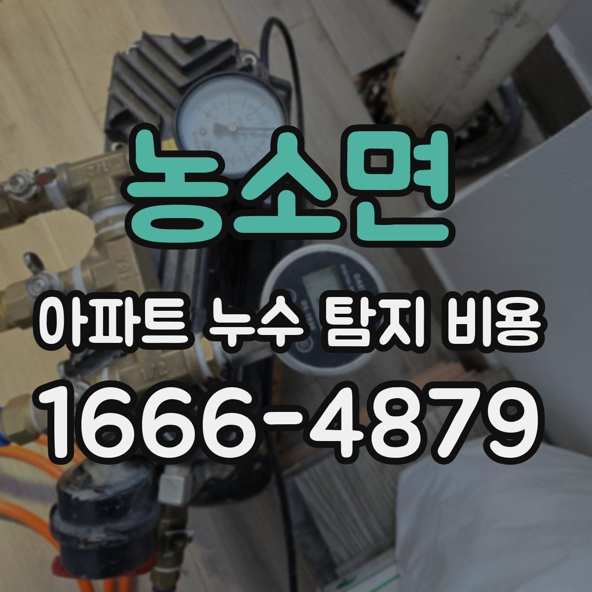 농소면 아파트 누수 탐지 비용