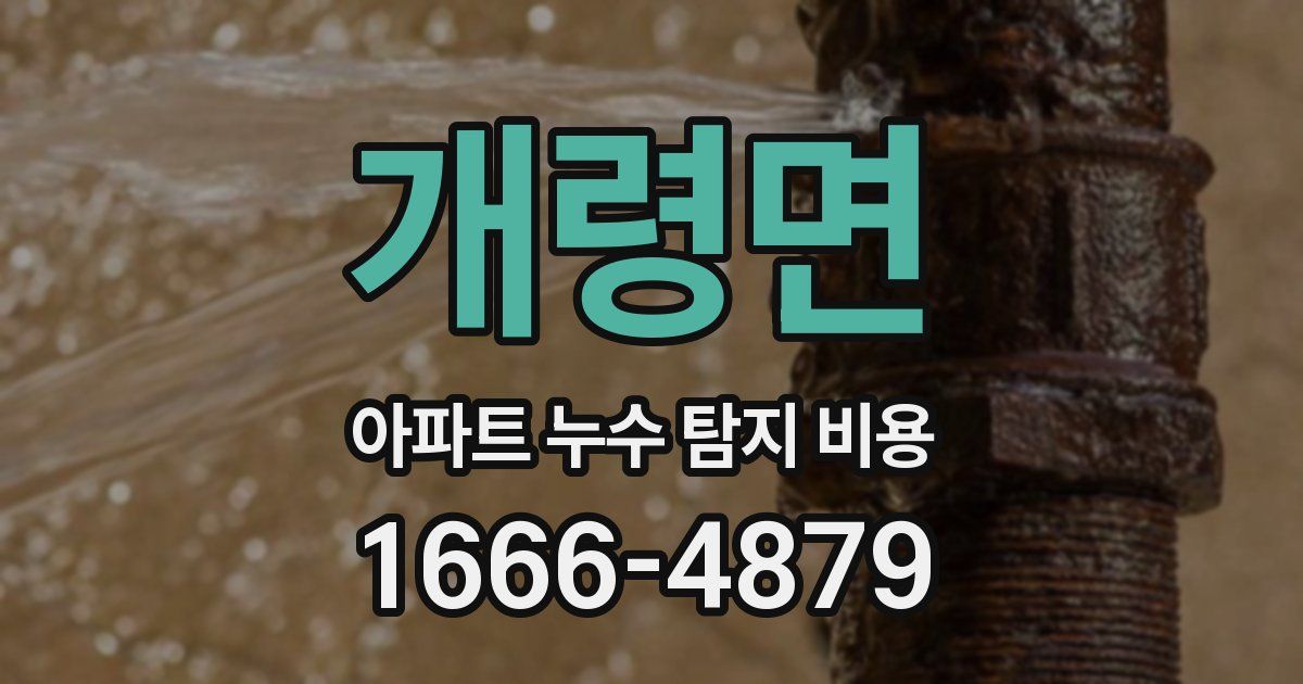 개령면 아파트 누수 탐지 비용