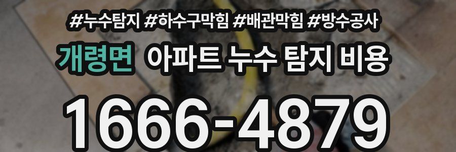 개령면 아파트 누수 탐지 비용