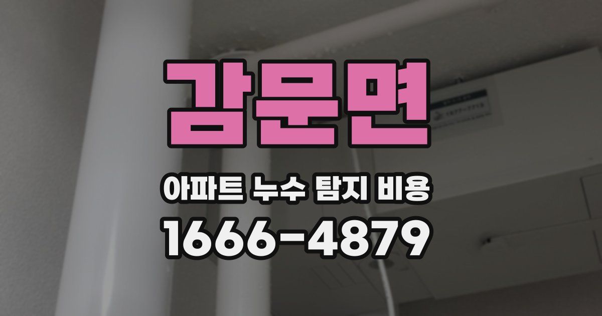 감문면 아파트 누수 탐지 비용