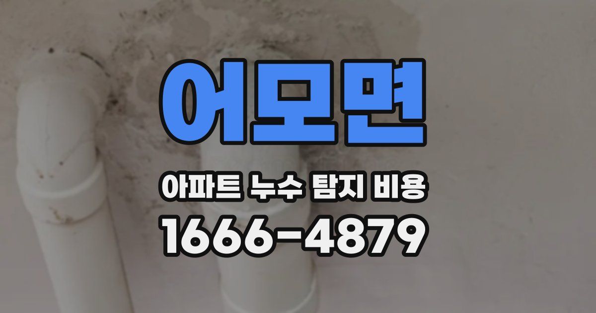 어모면 아파트 누수 탐지 비용
