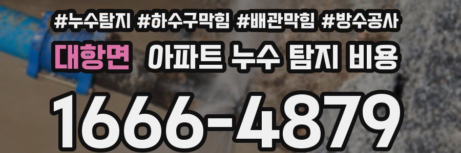 대항면 아파트 누수 탐지 비용