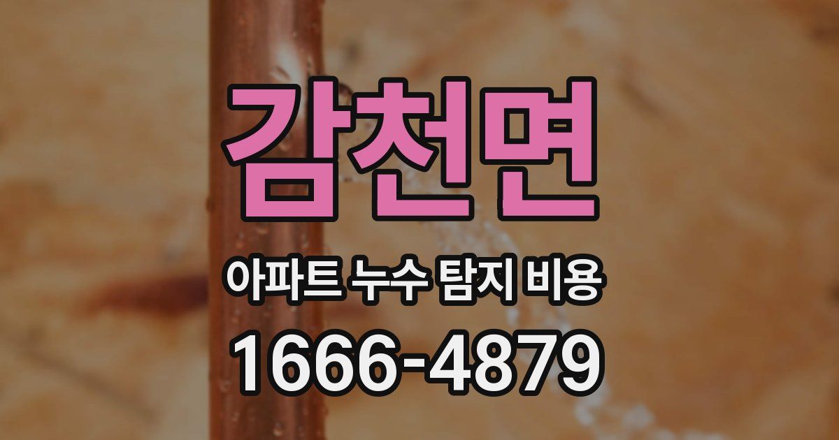 감천면 아파트 누수 탐지 비용