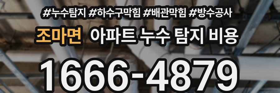 조마면 아파트 누수 탐지 비용