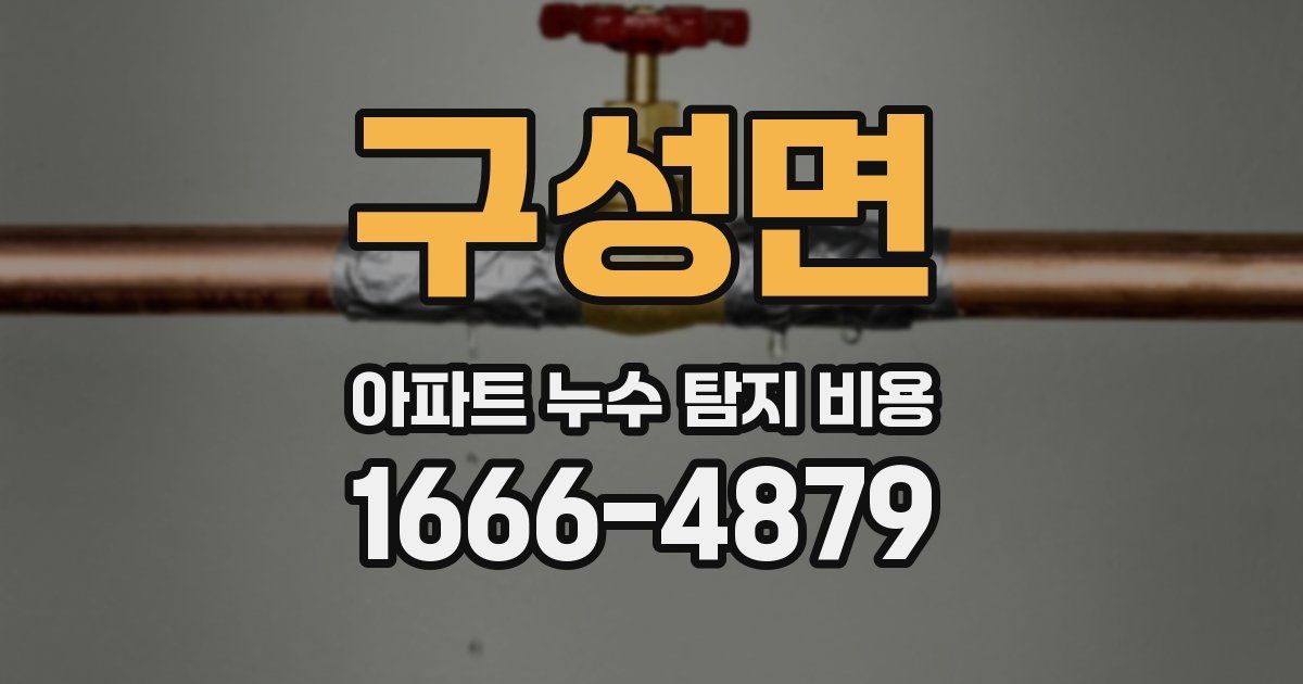 구성면 아파트 누수 탐지 비용