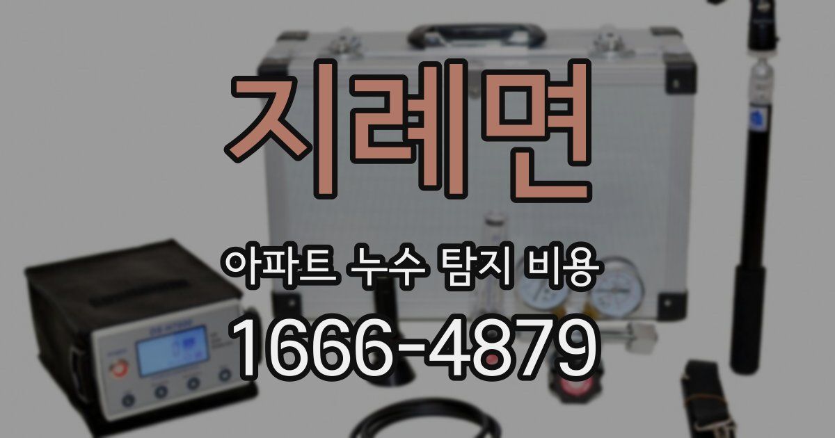 지례면 아파트 누수 탐지 비용