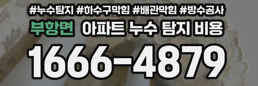 부항면 아파트 누수 탐지 비용