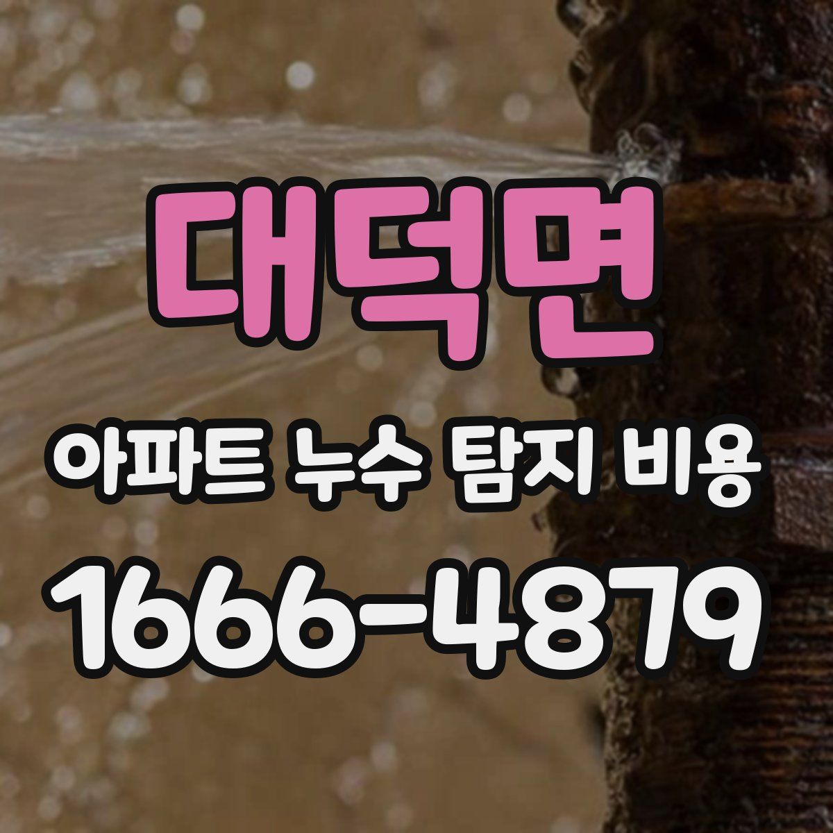 대덕면 아파트 누수 탐지 비용