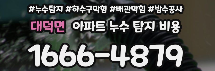 대덕면 아파트 누수 탐지 비용