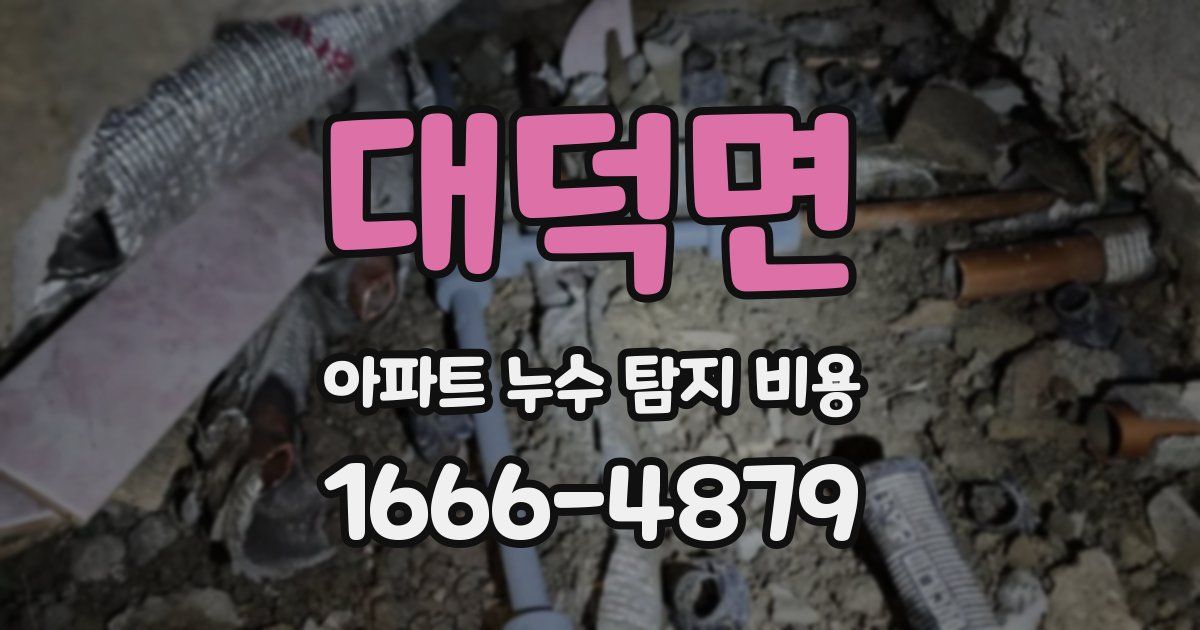 대덕면 아파트 누수 탐지 비용