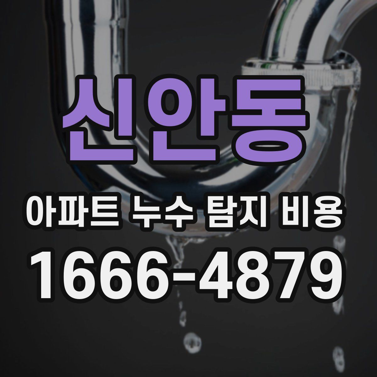 신안동 아파트 누수 탐지 비용