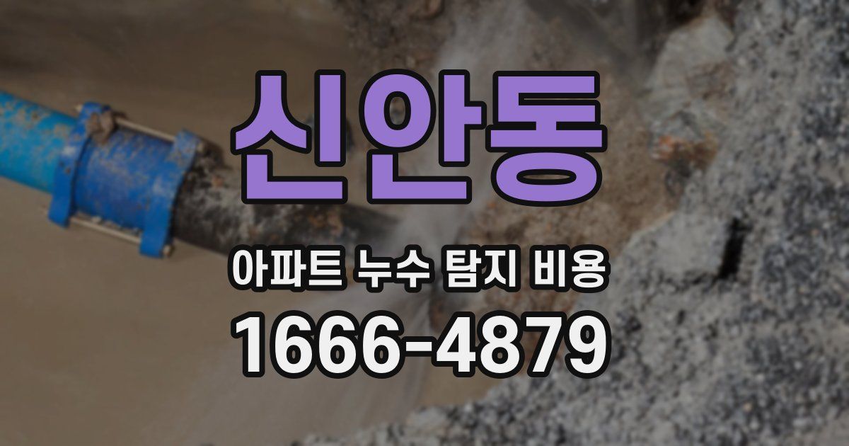 신안동 아파트 누수 탐지 비용