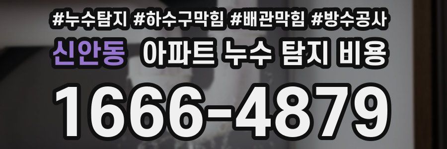 신안동 아파트 누수 탐지 비용