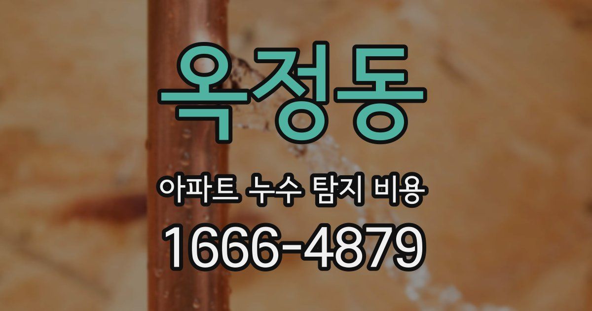 옥정동 아파트 누수 탐지 비용