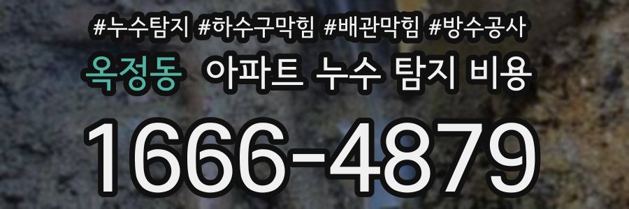 옥정동 아파트 누수 탐지 비용