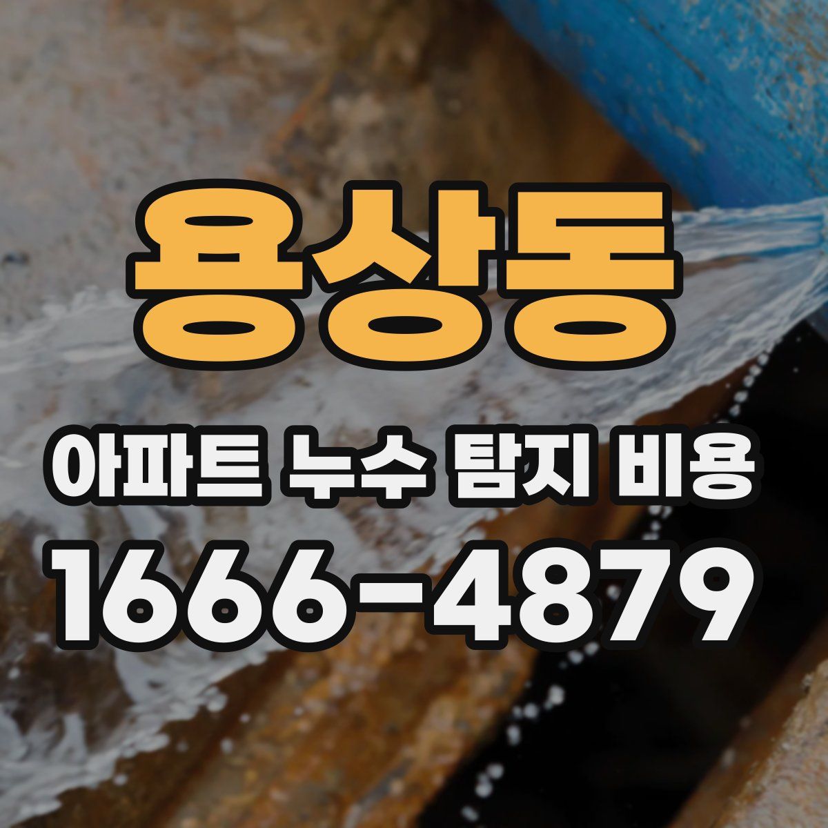 용상동 아파트 누수 탐지 비용