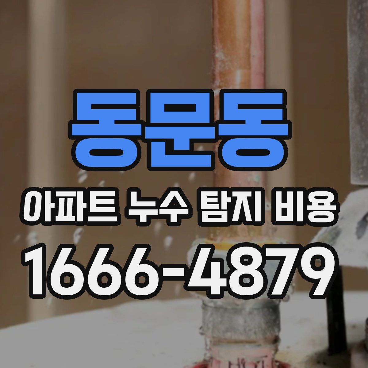 동문동 아파트 누수 탐지 비용