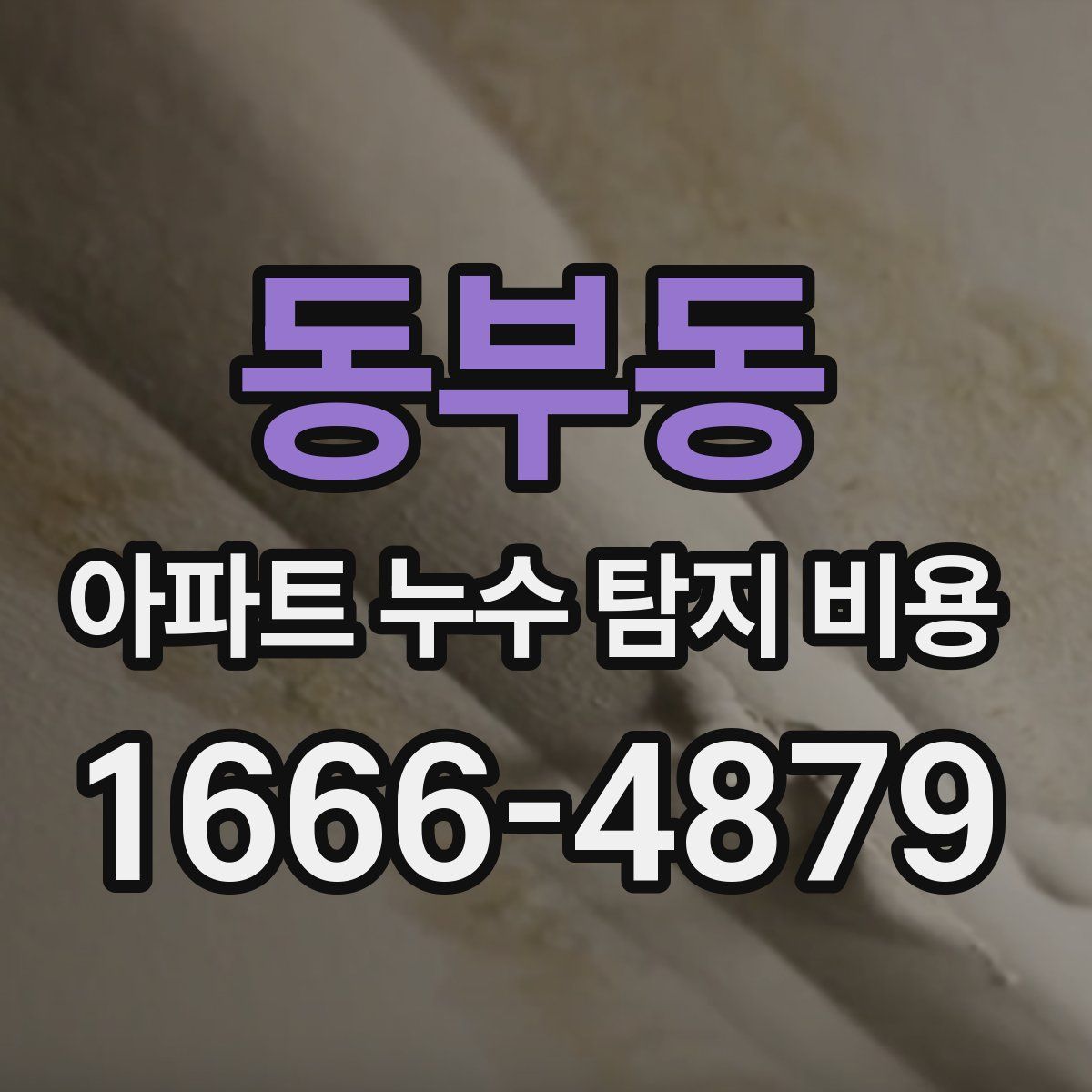 동부동 아파트 누수 탐지 비용