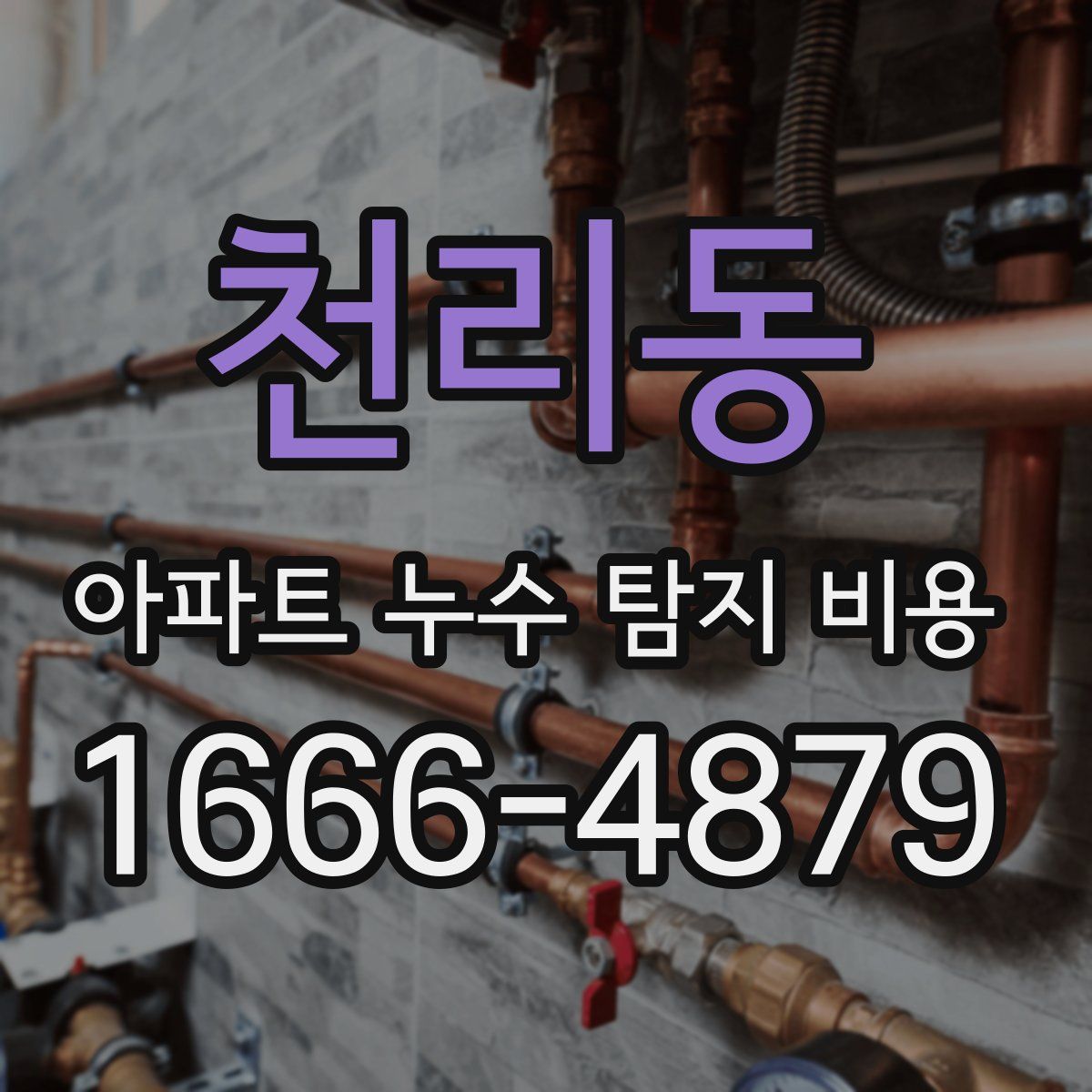 천리동 아파트 누수 탐지 비용