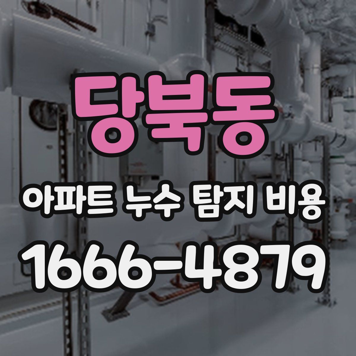 당북동 아파트 누수 탐지 비용