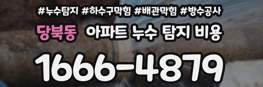 당북동 아파트 누수 탐지 비용
