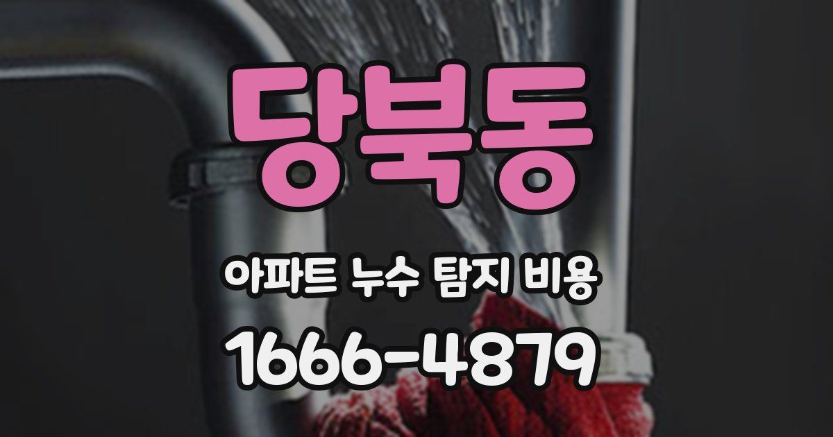 당북동 아파트 누수 탐지 비용
