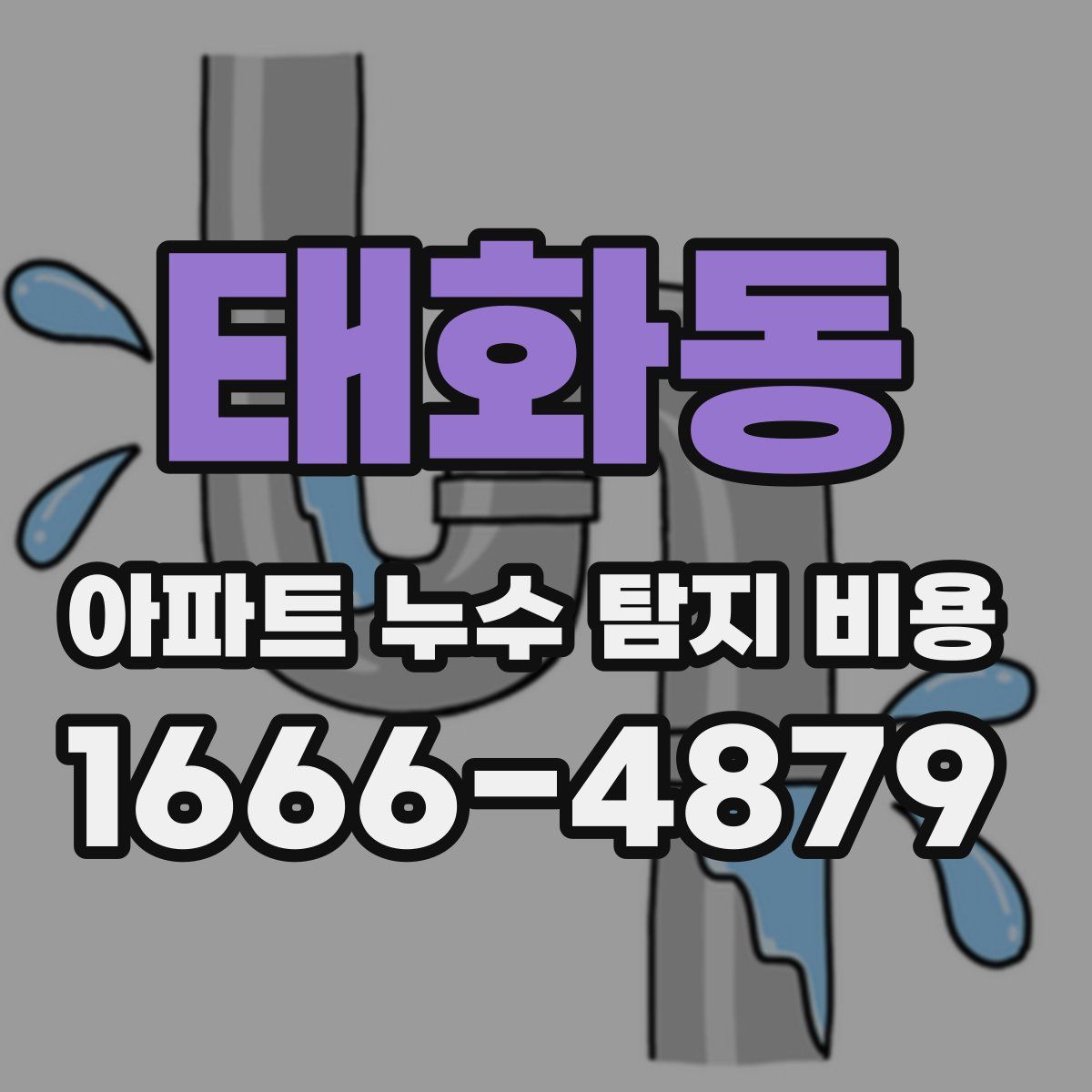 태화동 아파트 누수 탐지 비용