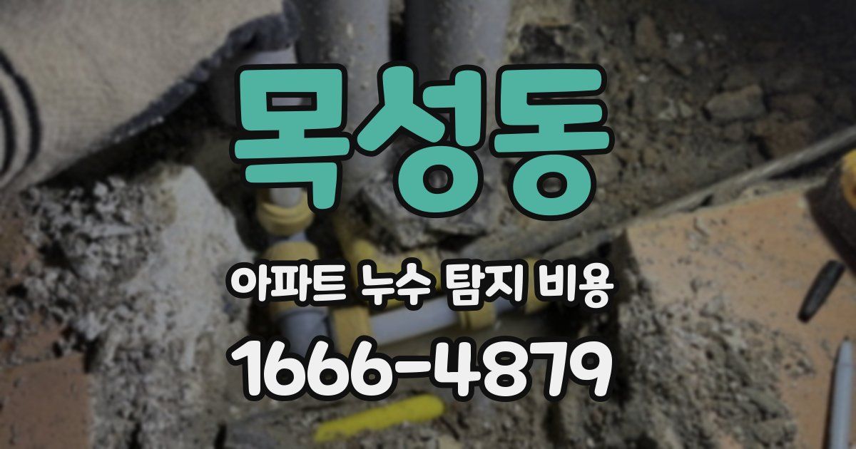 목성동 아파트 누수 탐지 비용