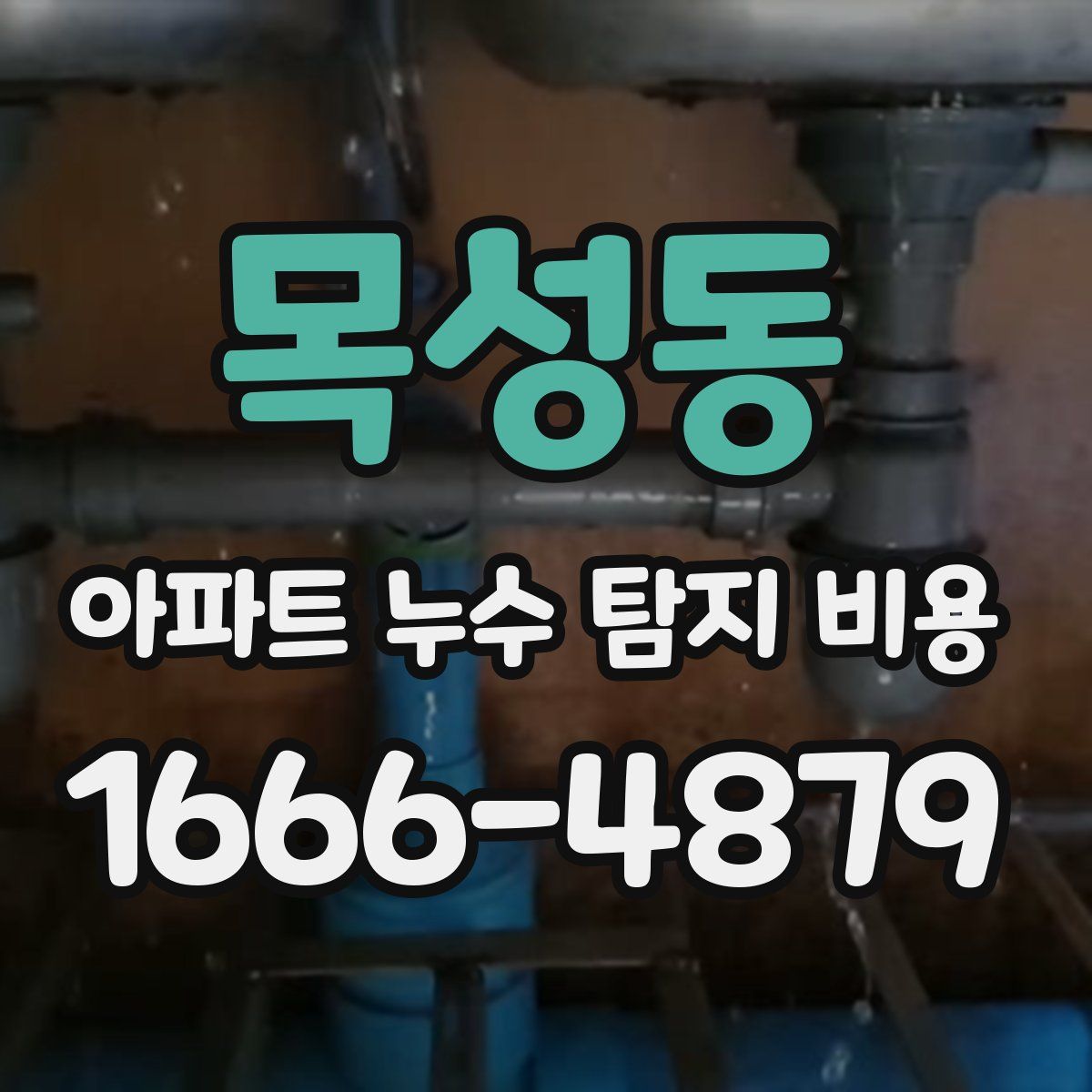 목성동 아파트 누수 탐지 비용