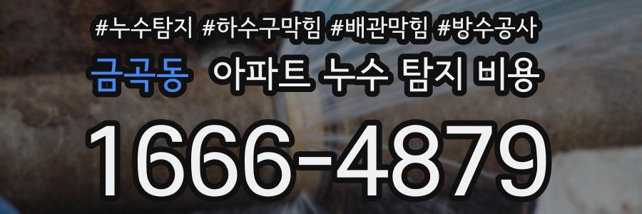 금곡동 아파트 누수 탐지 비용