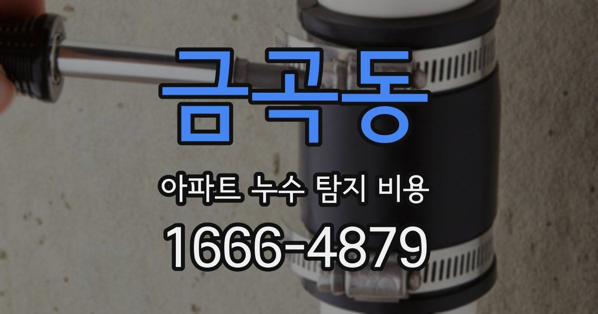 금곡동 아파트 누수 탐지 비용