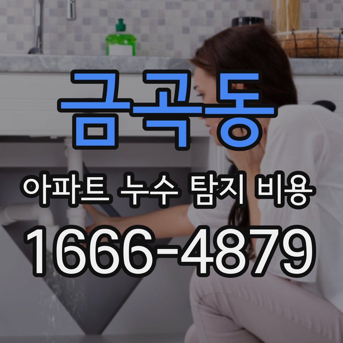 금곡동 아파트 누수 탐지 비용