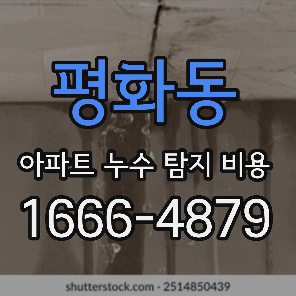 평화동 아파트 누수 탐지 비용