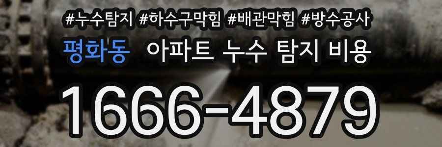 평화동 아파트 누수 탐지 비용