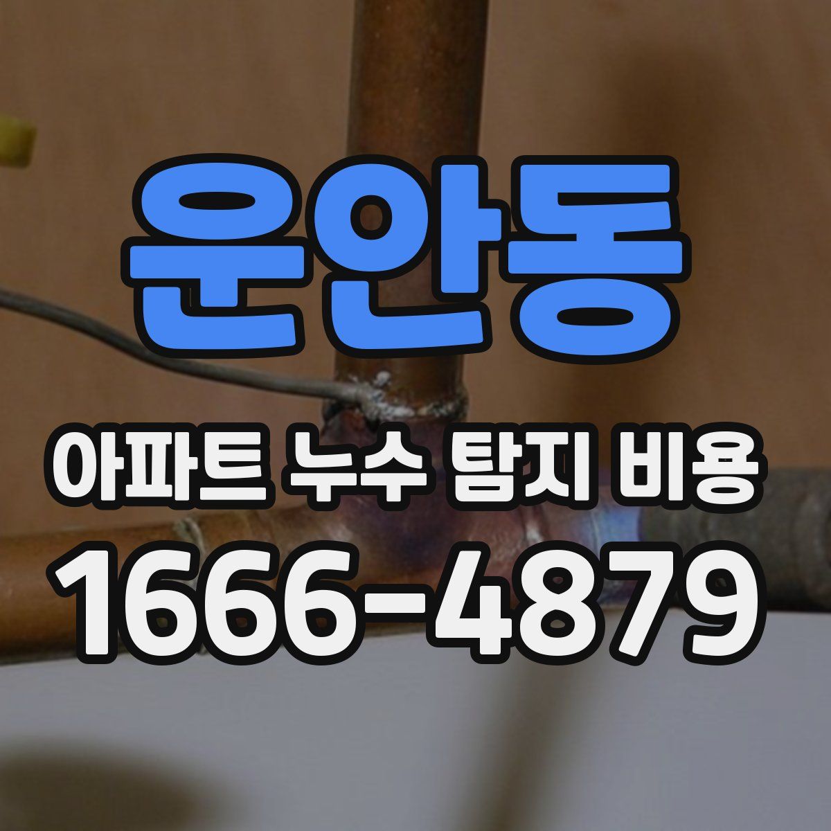 운안동 아파트 누수 탐지 비용