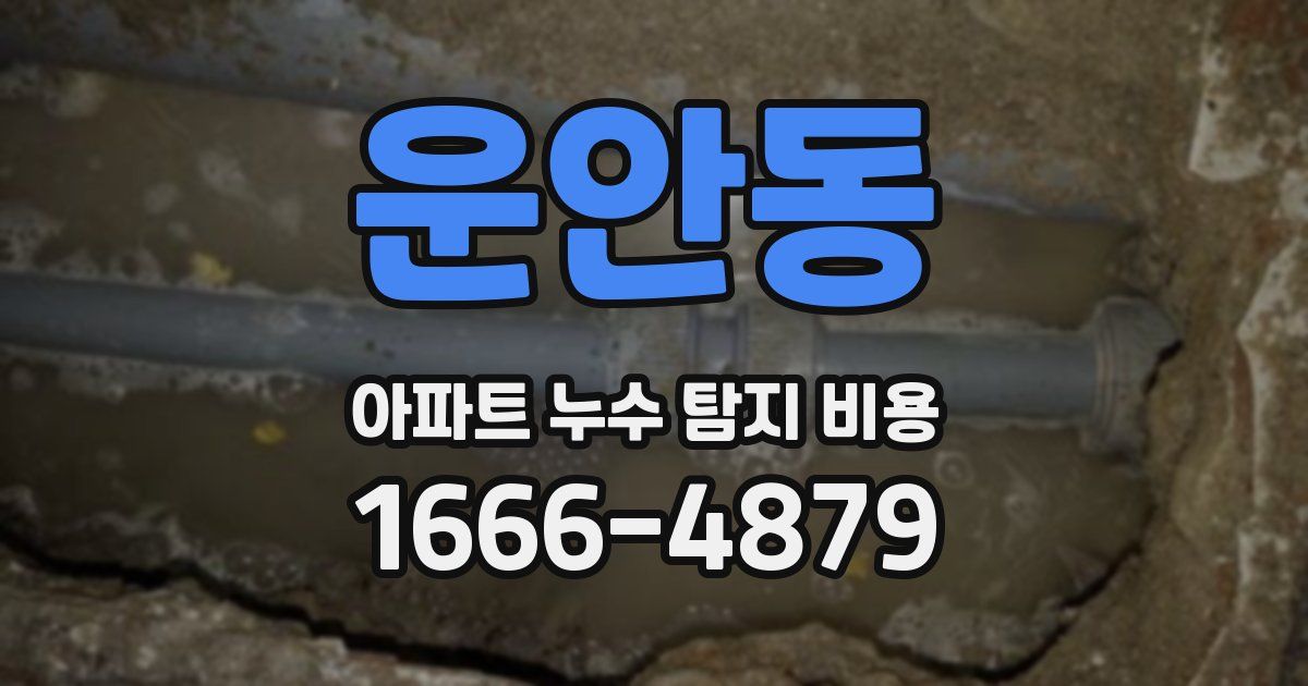 운안동 아파트 누수 탐지 비용