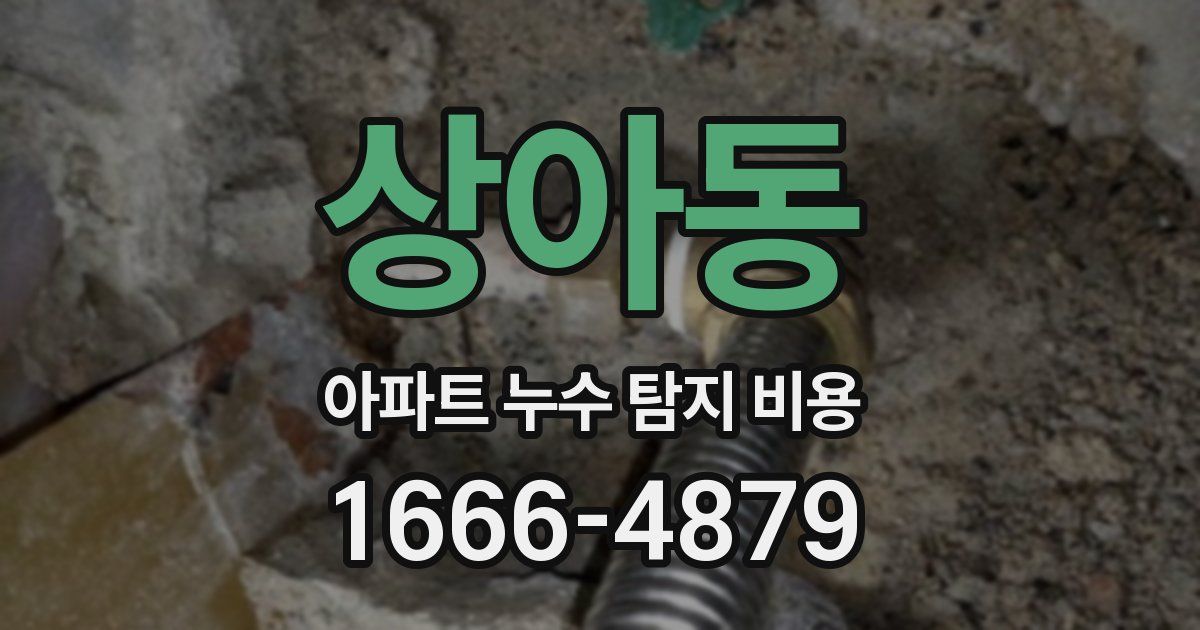 상아동 아파트 누수 탐지 비용