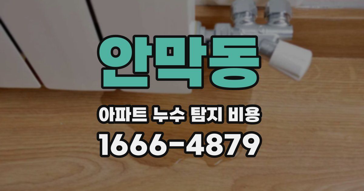 안막동 아파트 누수 탐지 비용