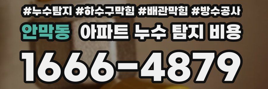 안막동 아파트 누수 탐지 비용